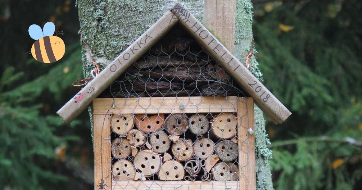 Roteles Insect Hoteles para insectos: Un refugio polinizadores y controladores de plagas