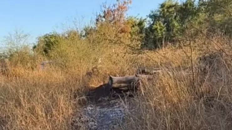 Encuentran restos óseos en Culiacán