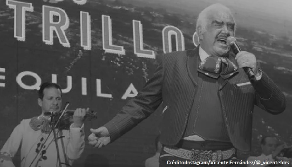 VICENTE FERNANDEZ RECAIDA.jpg