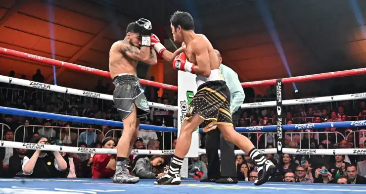 Pantera Nery Froilan Saludar pelea