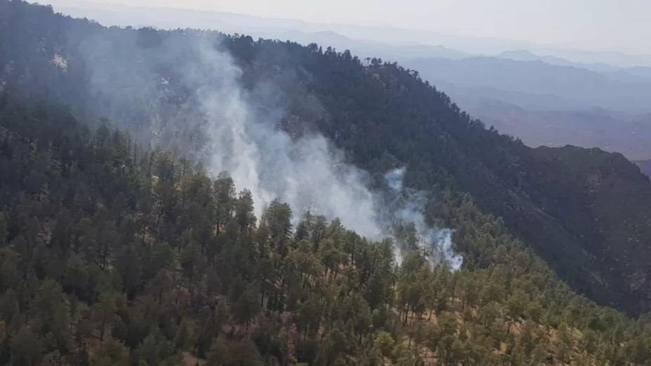 Controlan incendio forestal en la Sierra San Pedro Mártir en Baja California en julio del 2022 .jp