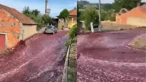 VIDEO_ Millones de litros de vino tinto se derramaron en calles de portugal.jpg