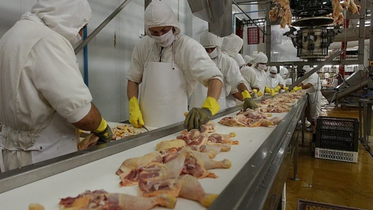 Pollos de Brasil importaciones Arabia Saudita