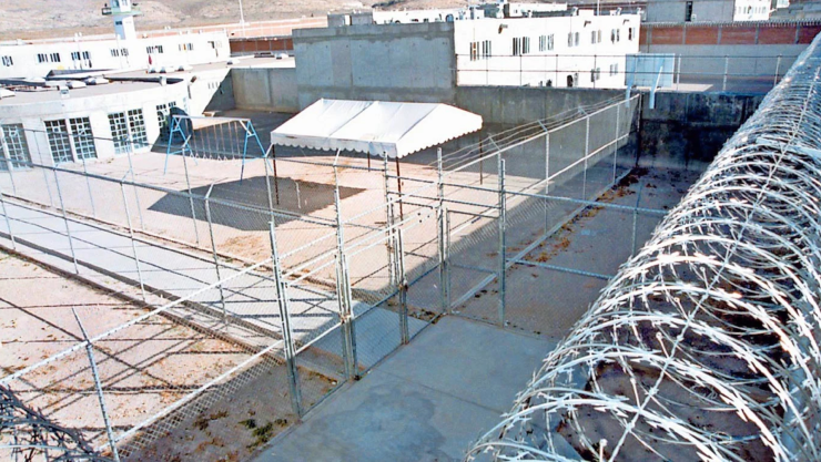 herida en el cuello reo.jpg