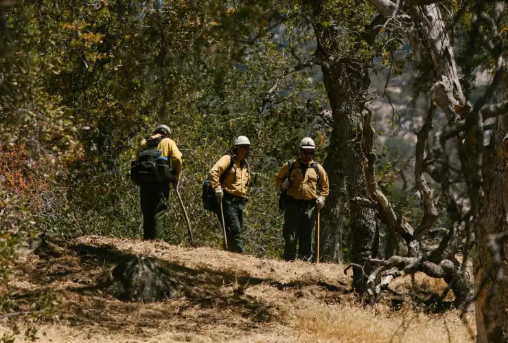 Incendios Los Angeles.jpg