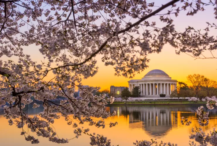 Todos los detalles de la llegada de la primavera a Estados Unidos.