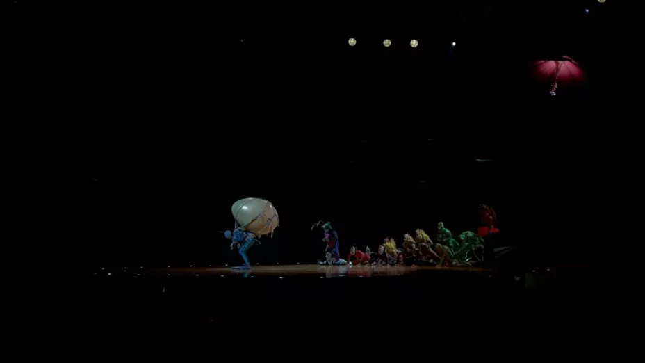 Bajo las hojas… todo respira distinto. Ahí descubrí que los sueños también vuelan