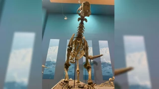 Museo del desierto en Chihuahua