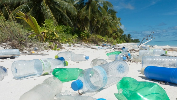 Las playas en México que hay que evitar durante la Semana Santa 2025