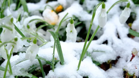 Clima en Aguascalientes ¿A qué hora hará más frío durante octubre 2024