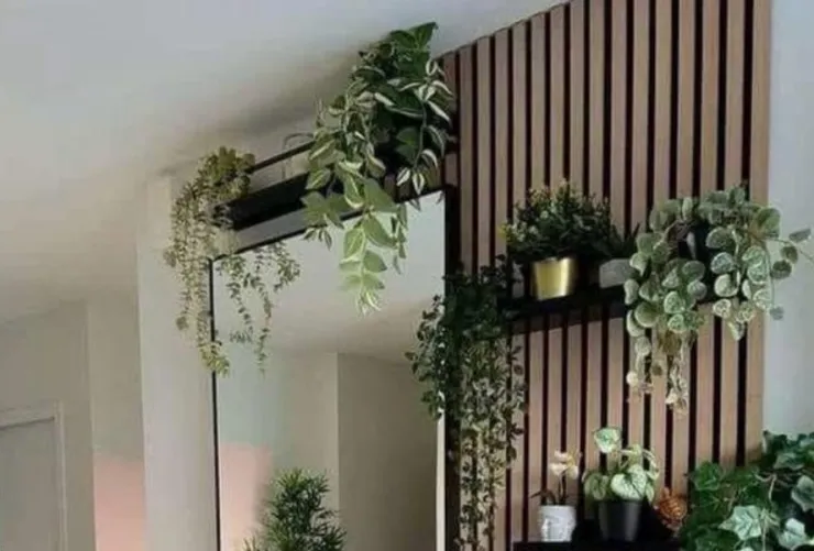 espejo con caida de plantas.jpg