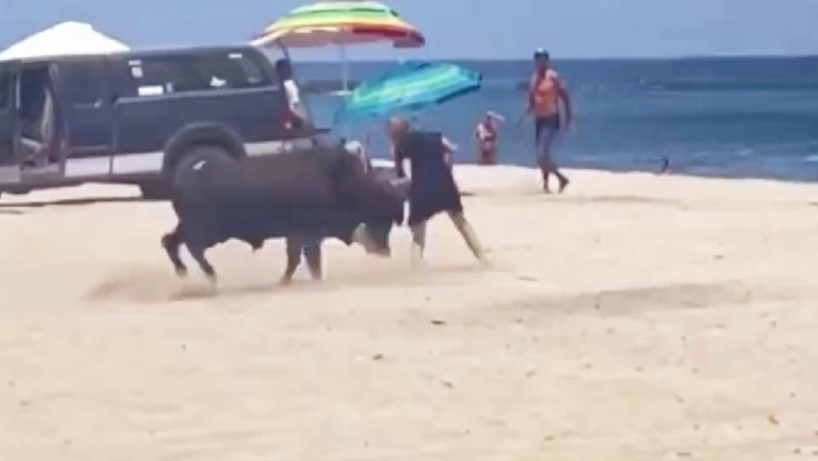 VIDEO: Toro embiste a mujer y ataca a otra con bebé en brazos; ¡en PLAYA de Los Cabos!