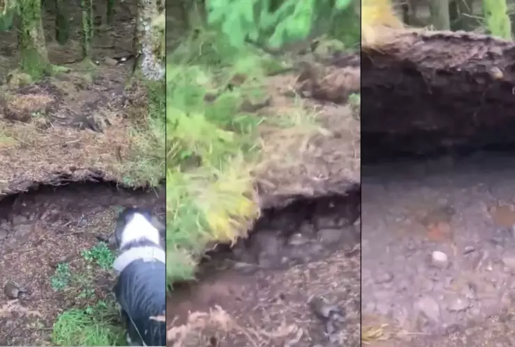¿La Tierra respiró? Hombre capta bosque levantándose del suelo en Escocia (VIDEO)