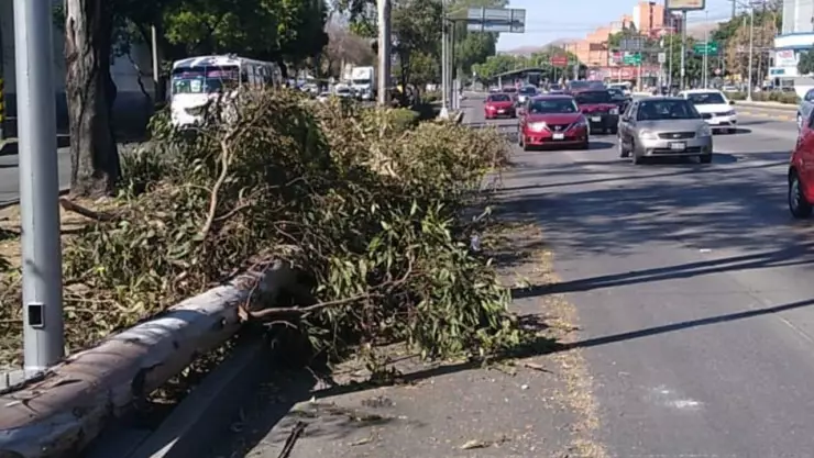 cdmx rachas viento alertas.jpg