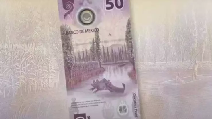 billete de 50 se vende millones por esta r_zon