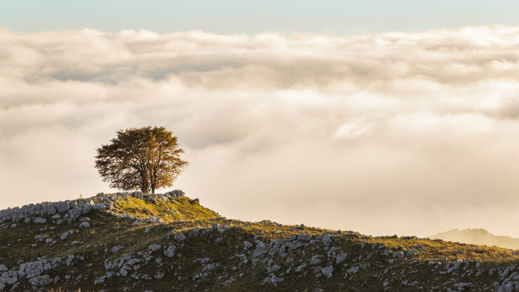 ¿Será un día fresco? Este es el pronóstico del clima de hoy lunes 28 de octubre de 2024