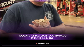 ¡Héroes con casco! Bomberos salvan a un gatito atrapado en una llanta y enternecen las redes