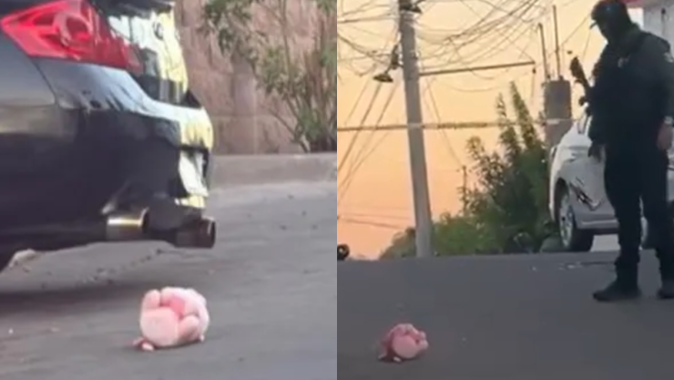 cerdito rosa