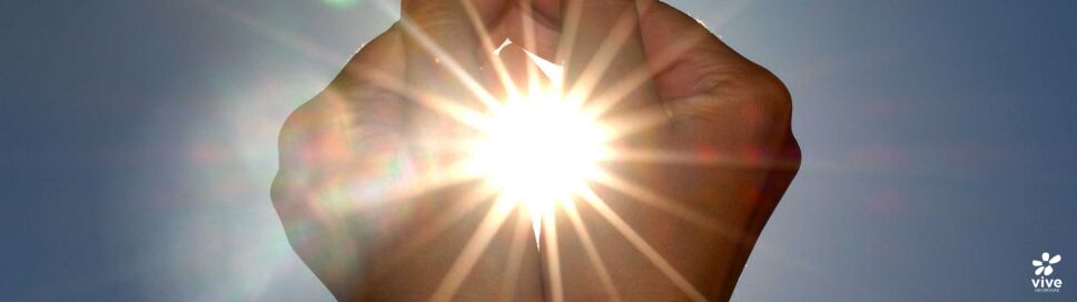 INTERMEDIA VITAMINA D.png