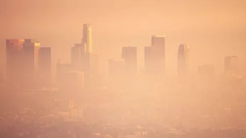 Nuevo Impuesto Verde en CDMX, los detalles que debes saber