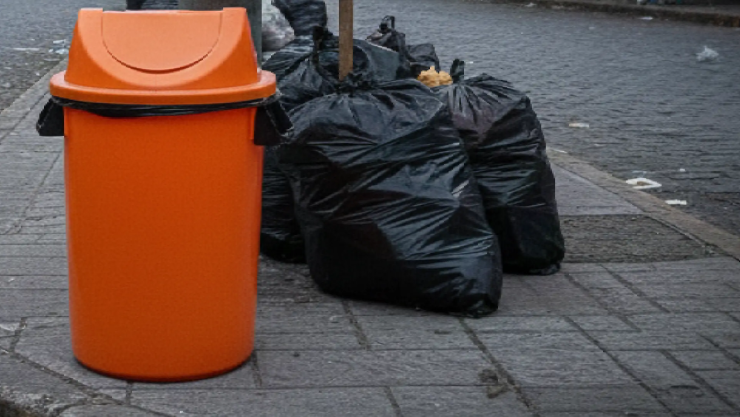 recolección de basura Guanajuato