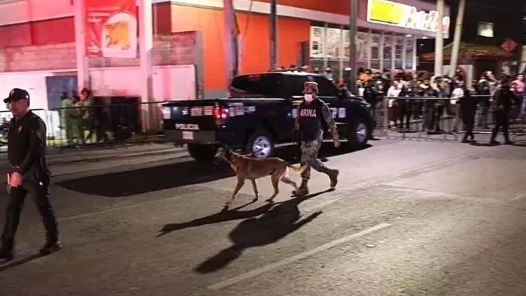perros rescatistas marina