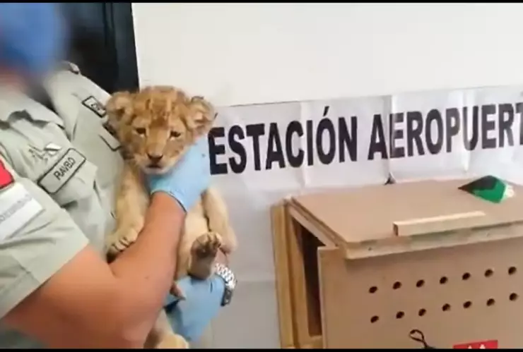 WhatsApp Image 2020-04-04 at 20.49.51.jpeg