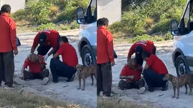 Abuelito lesionado genera movilización en La Purísima, Tehuacán hoy; lo embistió un chivo