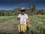 sequia-en-tixtla-guerrero-amenaza-cultivo-flores-para-dia-muertos-2026