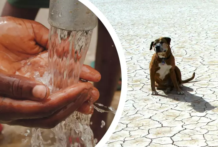 5 cosas que podríamos perder si la sequía continúa en Baja California
