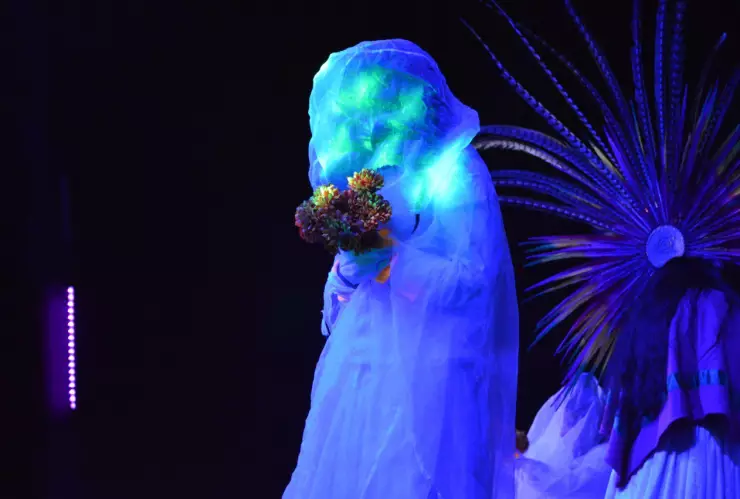 La Llorona en Xochimilco 6