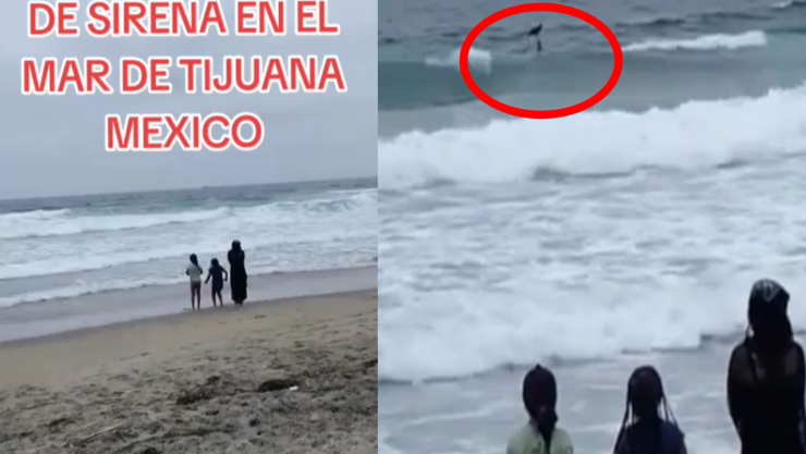 Avistamiento de presunta sirena tras huracán Hillary