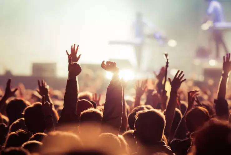 line up chihuahua.jpg