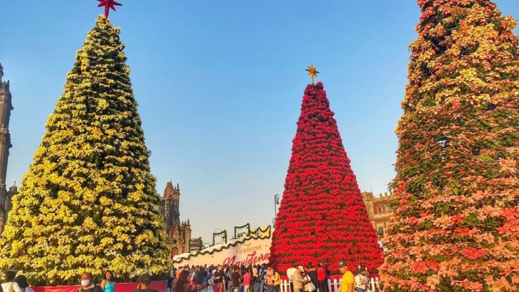 CDMX fin de semana verbena navideña