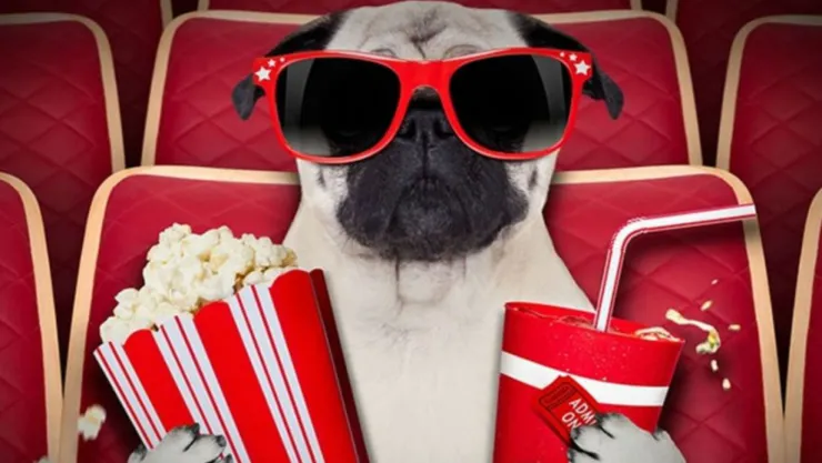 perros cine texas