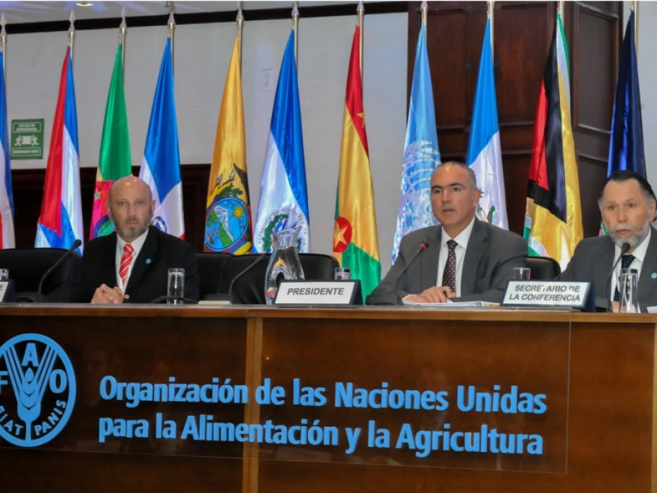 FAO México