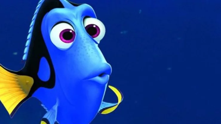 dory