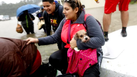 Mujer y su perro son rescatados de la inundación de la tormenta tropical Harvey en Beaumont Place.