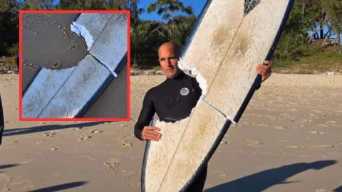 Ataque Tiburón Australia tabla de surf