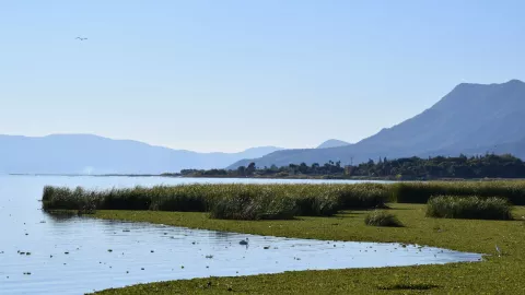 ¿Por qué el agua de lluvia que cae en Aguascalientes termina en el Lago de Chapala