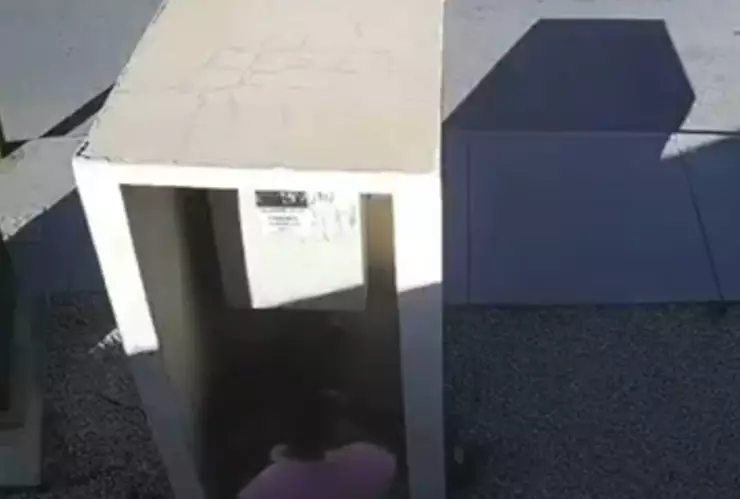 chofer de ruta Pistolas Meneses