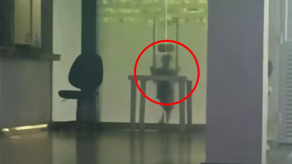 Trabajadores en turno nocturno captan escena perturbadora