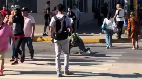 Así reaccionaron usuarios a joven que pateó a un therian cocodrilo