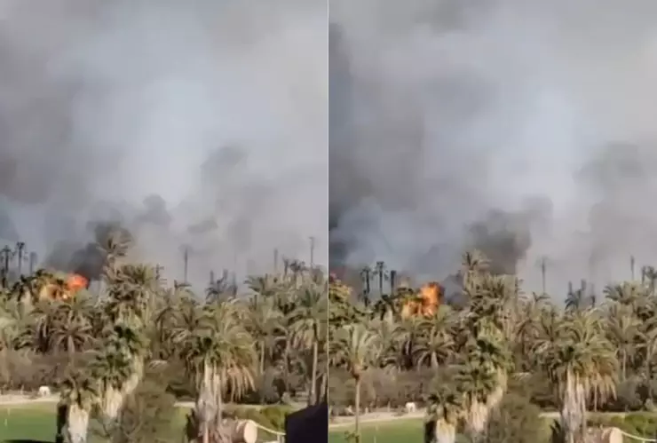 ¿Qué provocó el incendio de palmares en San Ignacio, Mulegé en Baja California Sur hoy lunes 31 de marzo de 2025?