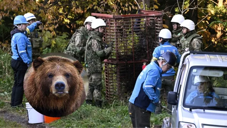 Miembros de las Fuerzas de Autodefensa de Japón (JSDF) instalan una trampa para osos en Kazuno, prefectura de Akita , Japón, en esta fotografía tomada por Kyodo el 5 de noviembre de 2025.