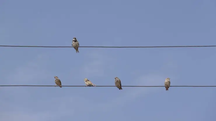 calidad del aire en Guanajuato