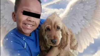 Niño de 11 años muere en Reino Unido tras dolor de garganta.