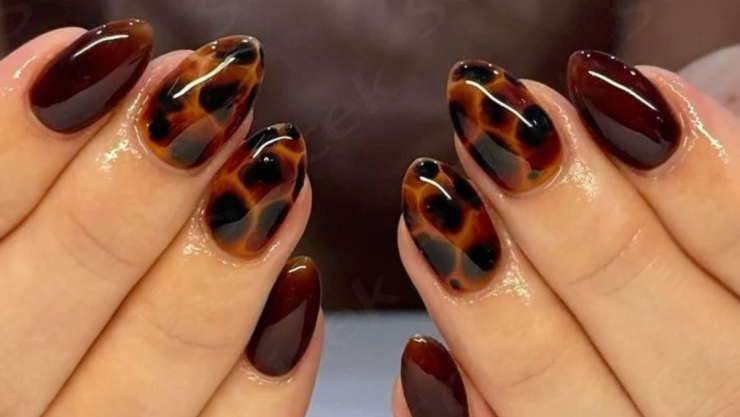 uñas carey.png