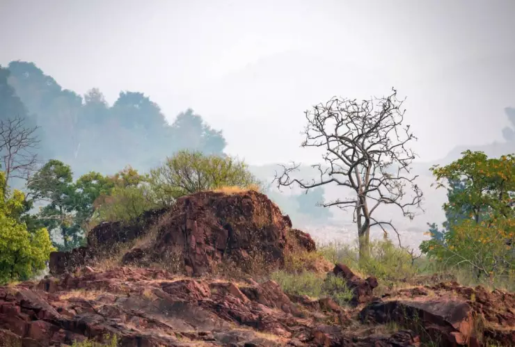 Santuario natural de Tutuaca
