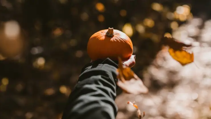 otoño